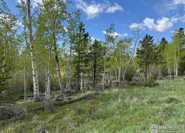 Property at 137 Cimarron Rd, Red Feather Lakes, CO 80545