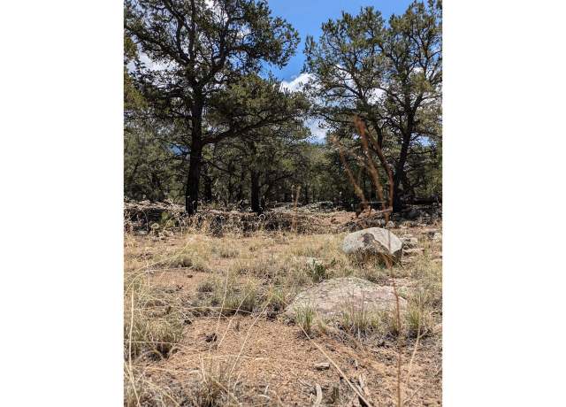 Property at 3729 Enchanted Way, Crestone, CO 81131