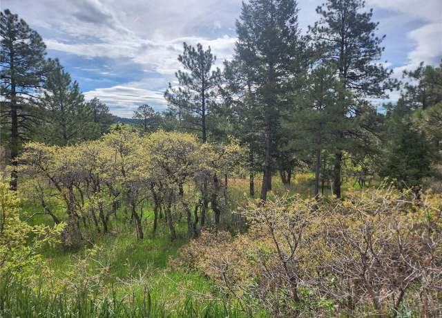 Property at Undisclosed address, Palmer Lake, CO 80133