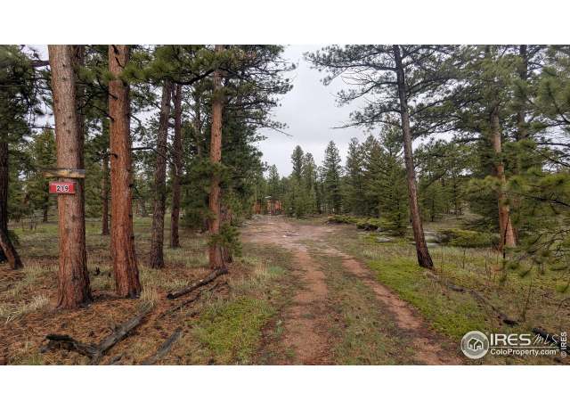 Property at 219 Yuki Dr, Red Feather Lakes, CO 80545