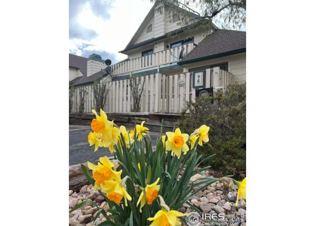 Property at 1010 S Saint Vrain Ave #4, Estes Park, CO 80517, 2 beds, 1 bath