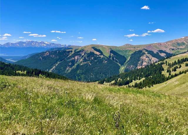 Property at 7259 La Plata, Leadville, CO 80461