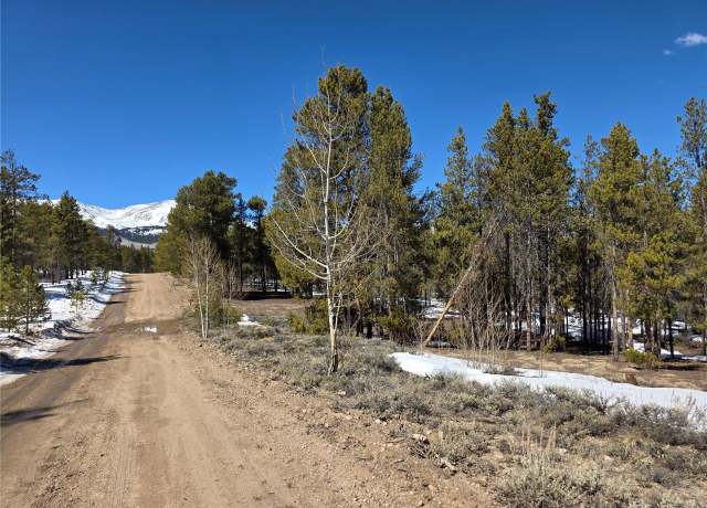 Property at Lots 20 & 29, Twin Lakes, CO 81251