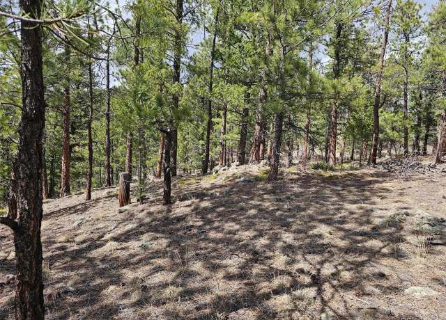 Property at Crow Valley Rd, Bailey, CO 80421
