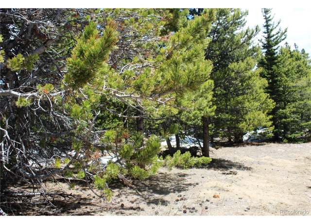 Property at 11 Lamartine Rd, Idaho Springs, CO 80452