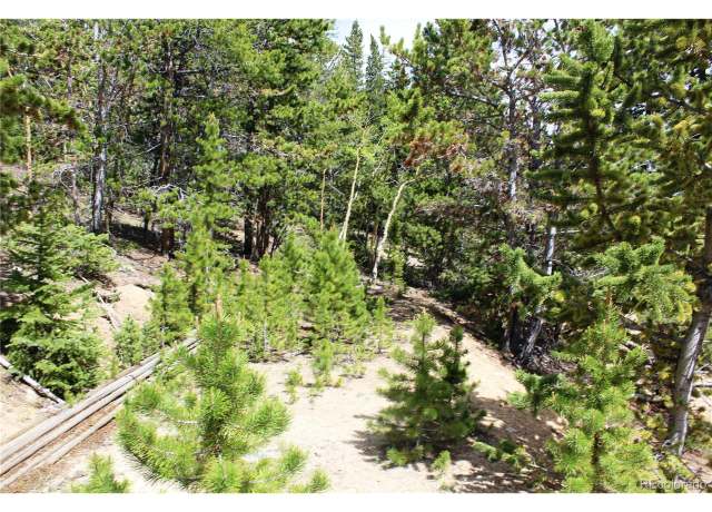 Property at 2 Lamertine Rd, Idaho Springs, CO 80452