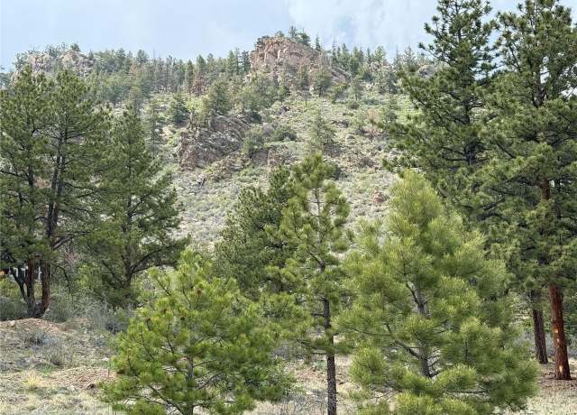 Property at 202 County Rd, Lake George, CO 80827