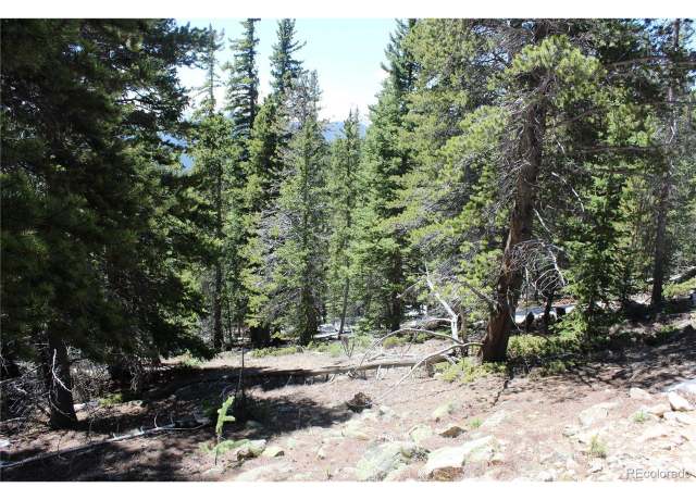 Property at 6 Lamartine Rd, Idaho Springs, CO 80452
