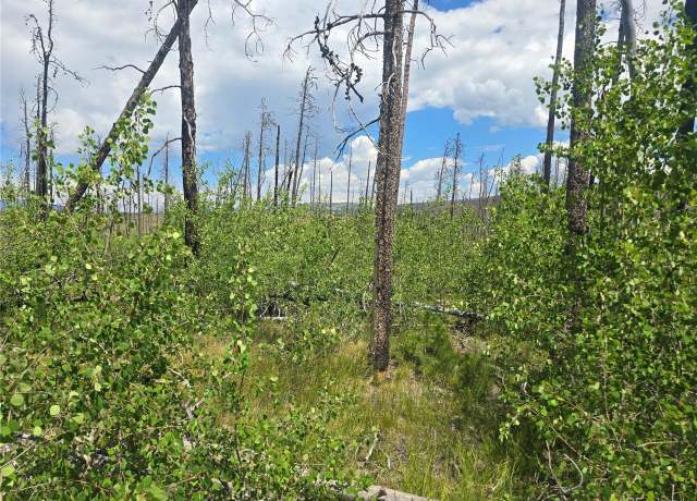 Property at 1460 Von Hyle Ln, Fort Garland, CO 81133