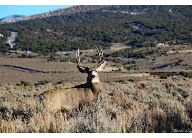 Property at Mcdonnell Rd, Fort Garland, CO 81133