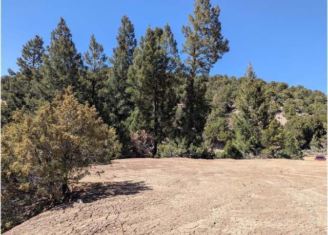 Property at 1593 Jaidi Rd, Fort Garland, CO 81133