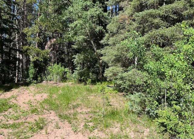 Property at 2893 Coder Pl, Fort Garland, CO 81133