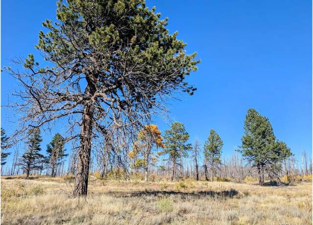 Property at 1397 Emory Loop, Fort Garland, CO 81133