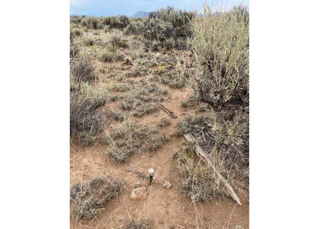 Property at 3034 Saudir Rd, Fort Garland, CO 81133