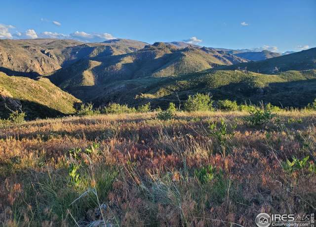 Property at 232 Red Mountain Ct, Livermore, CO 80536