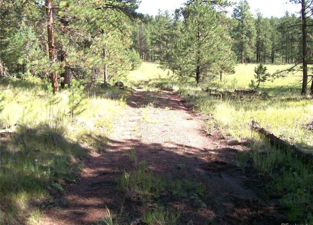 Property at 3032 County Road 12, Florissant, CO 80816