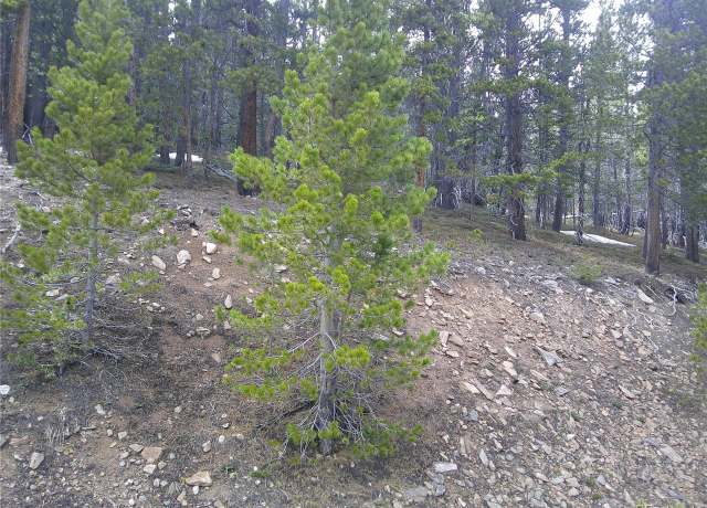 Property at 417 Glory Hole Rd, Idaho Springs, CO 80452