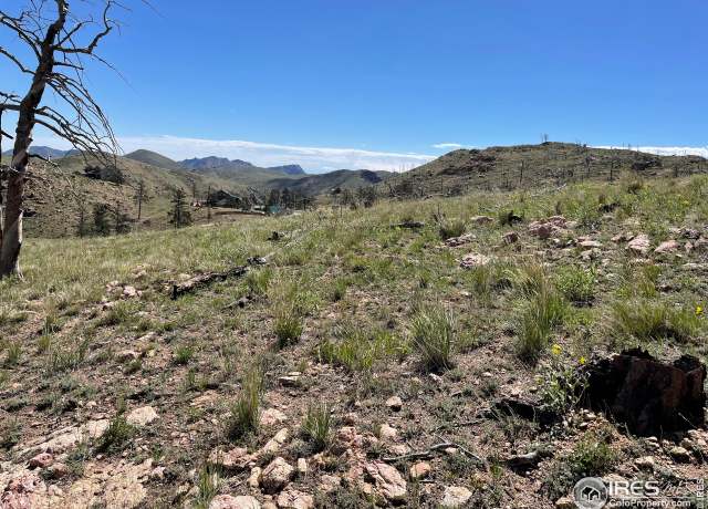 Property at 453 Horse Mountain Dr, Livermore, CO 80536