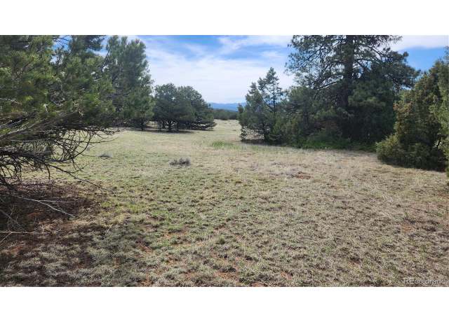 Property at 20th Trl, Cotopaxi, CO 81223