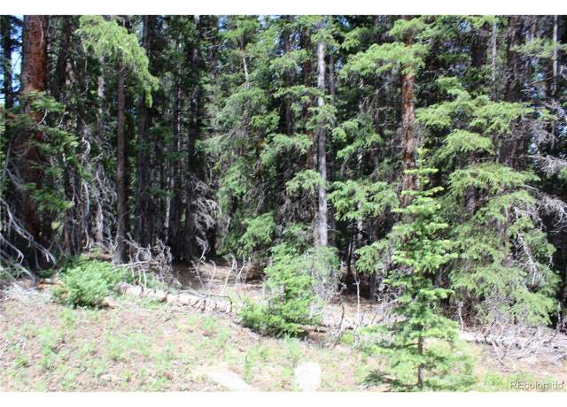 Property at 13 Lamartine Rd, Idaho Springs, CO 80452