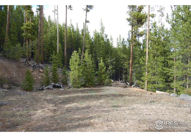 Property at 226 Shoshoni Dr, Red Feather Lakes, CO 80545