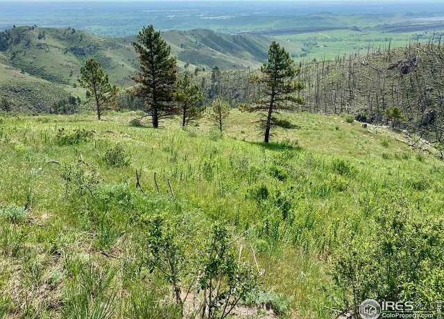Property at 498 Helms Deep Rd, Bellvue, CO 80512