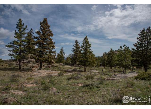 Property at 22 Mount Apiatan Ct, Livermore, CO 80536