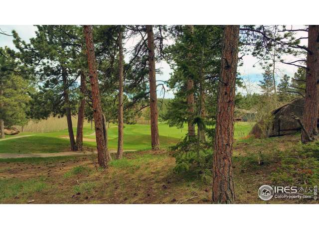 Property at 520 Fox Acres Dr W, Red Feather Lakes, CO 80545