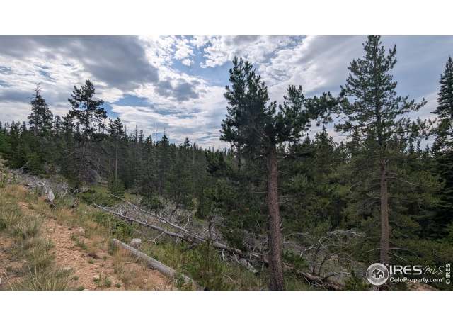 Property at Pearl Creek Rd, Red Feather Lakes, CO 80545