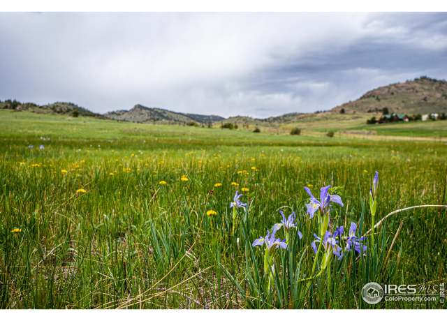 Property at 816 Meadow Way, Livermore, CO 80536