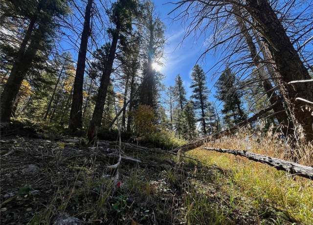 Property at 6187 Starkbeather Rd, Fort Garland, CO 81133