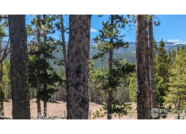 Property at 37 Shasta Way, Red Feather Lakes, CO 80545