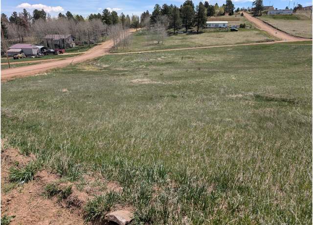 Property at 81 Fountain Dale Ln, Divide, CO 80814