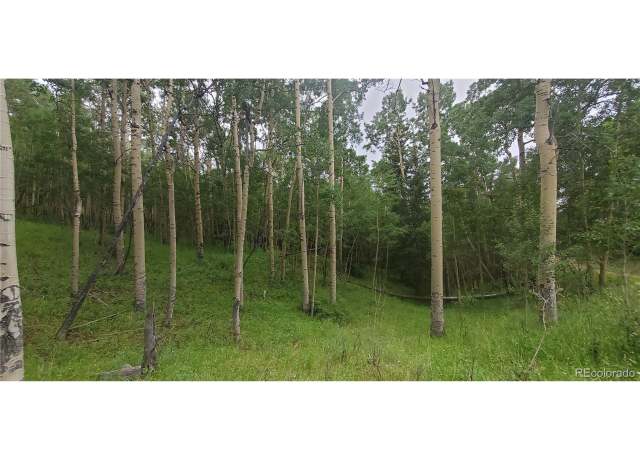 Property at Undisclosed address, Fort Garland, CO 81133