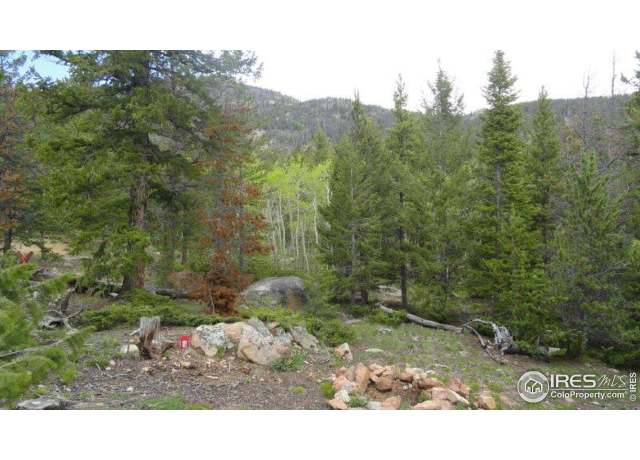 Property at 204 Sutiki Dr, Red Feather Lakes, CO 80545