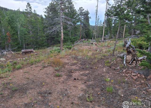 Property at 204 Sutiki Dr, Red Feather Lakes, CO 80545