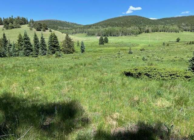 Property at 2684 Coder Pl, Fort Garland, CO 81133