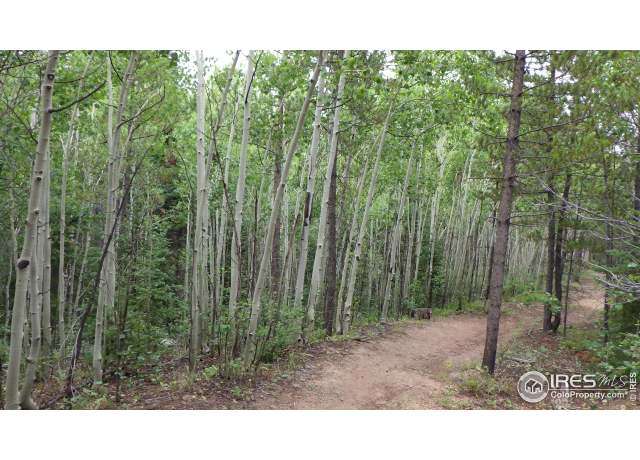 Property at 60 Comanito Ct, Red Feather Lakes, CO 80545