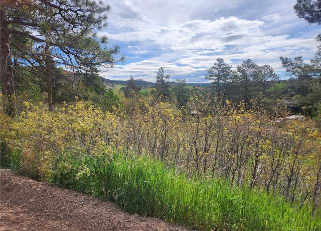 Property at Undisclosed address, Palmer Lake, CO 80133