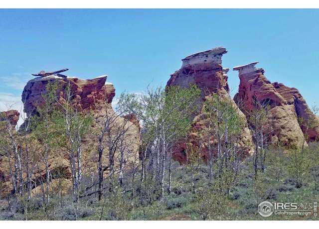Property at Undisclosed address, Livermore, CO 80536