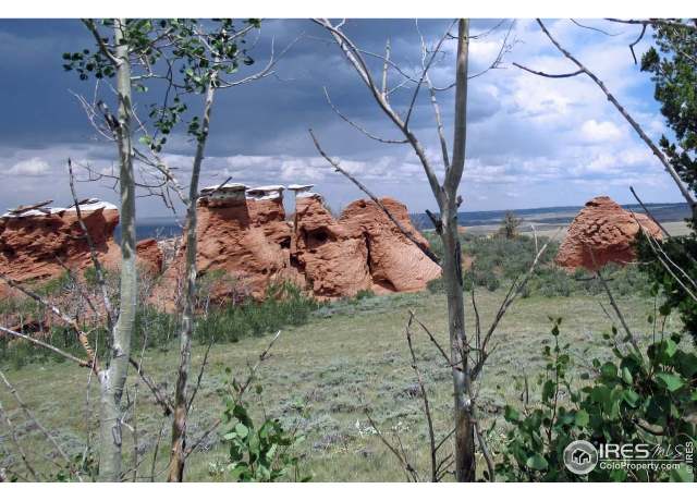 Property at Undisclosed address, Livermore, CO 80536
