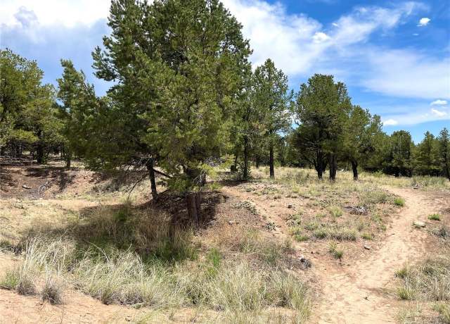 Property at 6 Hemlock St, Crestone, CO 81131