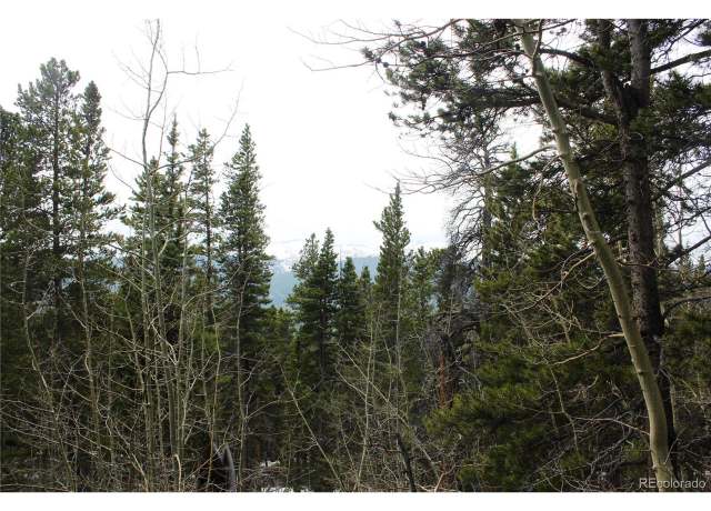 Property at 5 Lamertine Rd, Idaho Springs, CO 80452