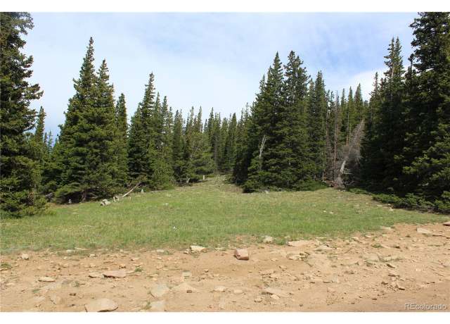 Property at 14 Lamartine Rd, Idaho Springs, CO 80452