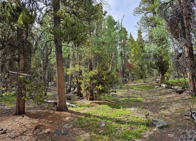 Property at 7923 Suds Spot, Fairplay, CO 80440