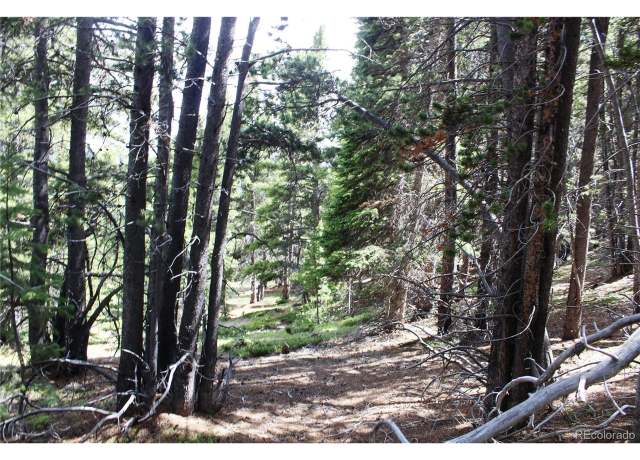 Property at 2 Lamartine Rd, Idaho Springs, CO 80452