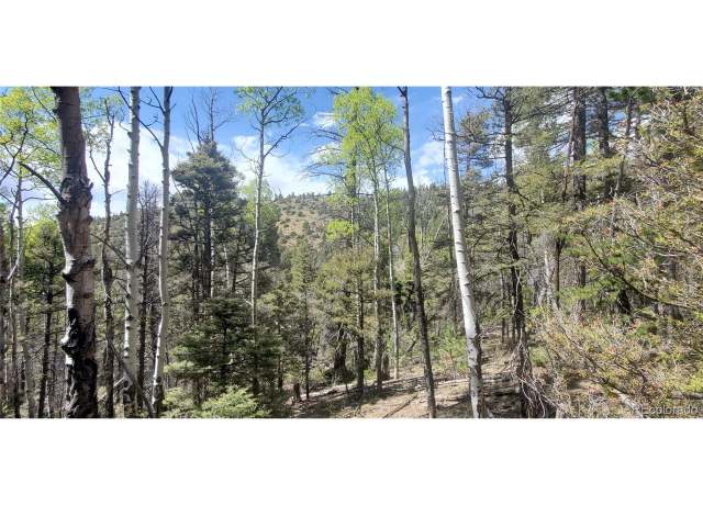 Property at Undisclosed address, Fort Garland, CO 81133