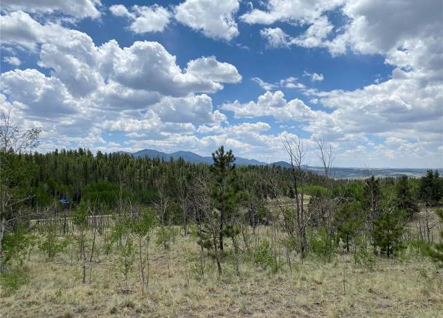 Property at 0 Al Gulch Rd, Jefferson, CO 80456