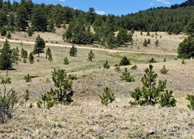 Property at 744 Julia Rd, Guffey, CO 80820