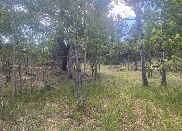 Property at 94 Cr-403, Florissant, CO 80816